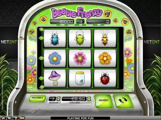 Beetle Frenzy Free Casino Slot 