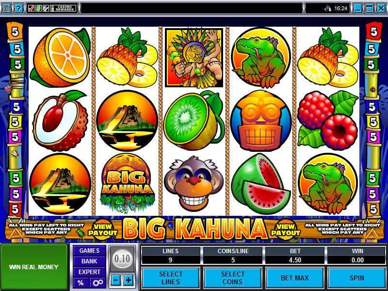 Big Kahuna Free Casino Slot  with, delSecond Screen Game