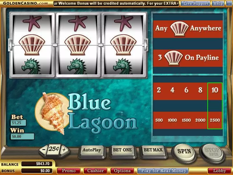 Blue Lagoon Free Casino Slot 