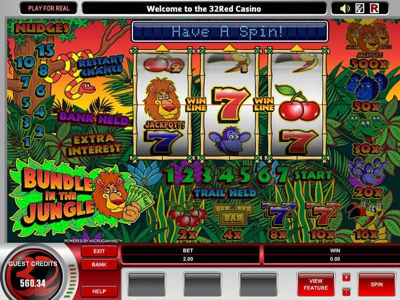 Bundle in the Jungle Free Casino Slot  with, delSecond Screen Game