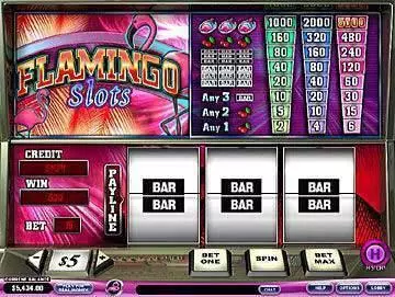 Flamingo Free Casino Slot 
