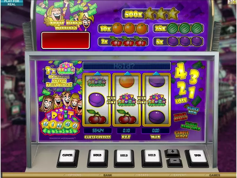Fruit Bingo Free Casino Slot  with, delFree Spins