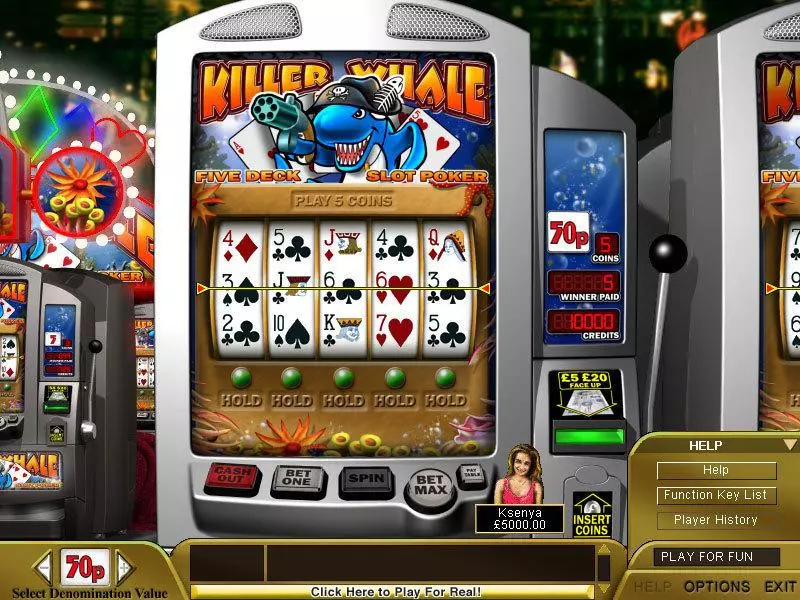 Killer Whale Poker Free Casino Slot 