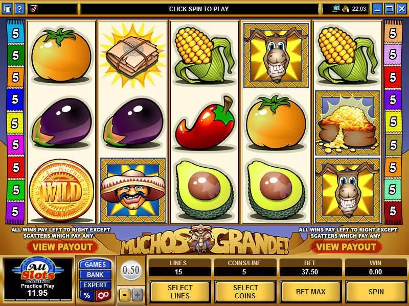 Muchos Grande Free Casino Slot  with, delSecond Screen Game