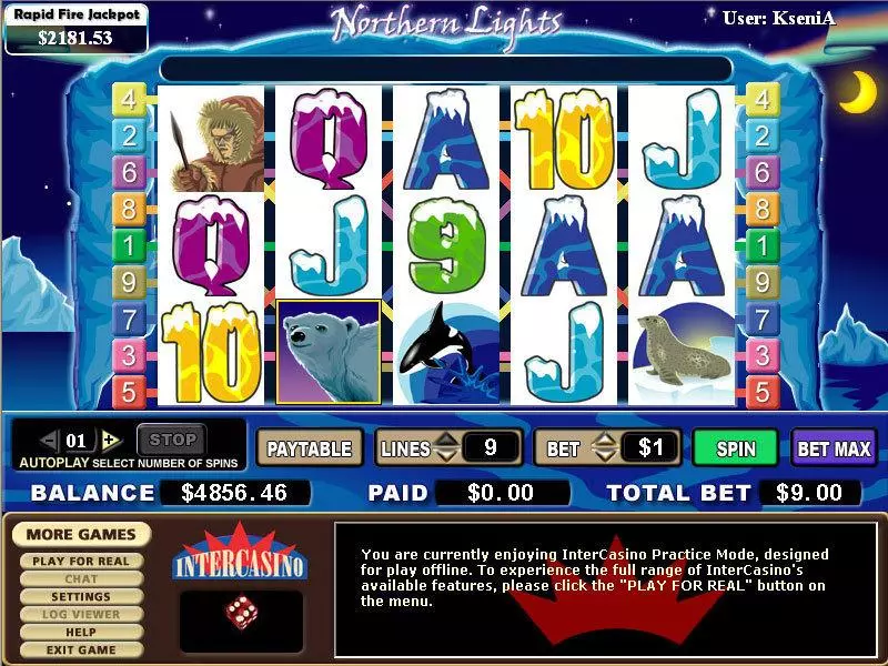 Northern Lights Free Casino Slot  with, delSecond Screen Game