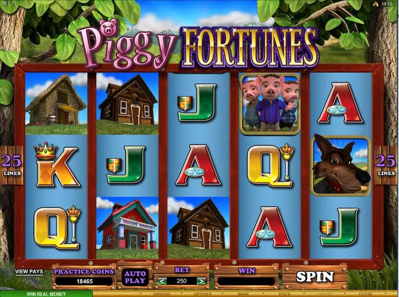 Piggy Fortunes Free Casino Slot  with, delSecond Screen Game