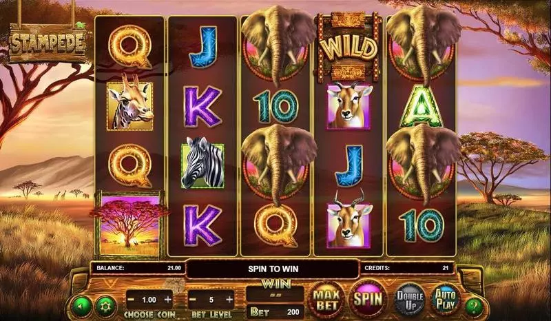 Stampede Free Casino Slot 