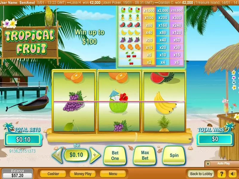 Tropical Fruit Free Casino Slot 