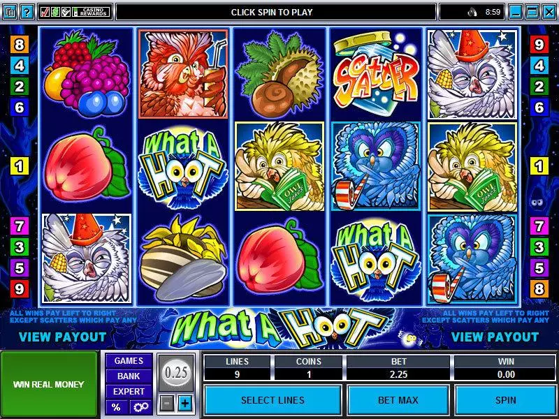 What a Hoot Free Casino Slot 